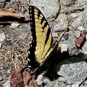 Meet your Posher, Kristina